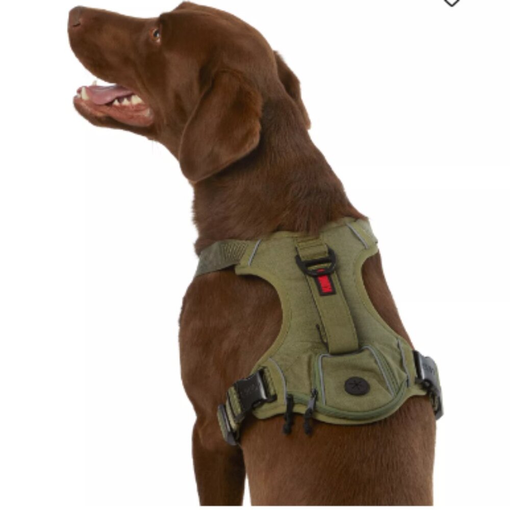 Kong Reflective Waste Bag Dog Harness in Green